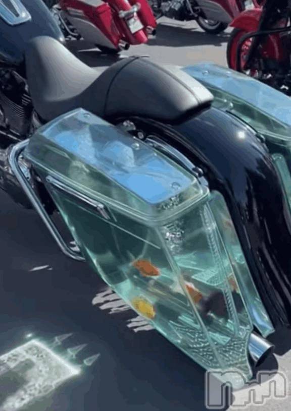 新潟デリヘル新潟市鳥屋野潟ちゃんこ(ニイガタシトヤノガタチャンコ)まこ(45)の2026年3月13日写メブログ「まさか！こんなバイクが？！」