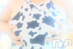 新潟ぽっちゃり新潟市鳥屋野潟ちゃんこ(ニイガタシトヤノガタチャンコ) まこ(45)の7月15日写メブログ「エントリー⑤」