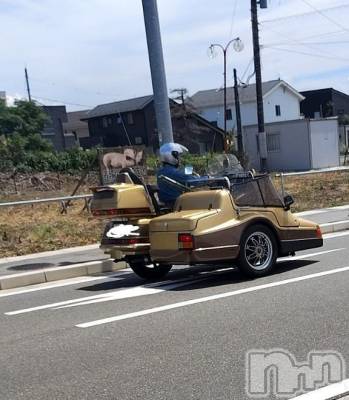 新潟ぽっちゃり 新潟市鳥屋野潟ちゃんこ(ニイガタシトヤノガタチャンコ) まこ(45)の8月17日写メブログ「珍しい🏍」