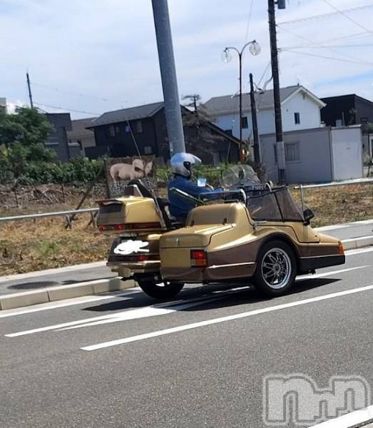 珍しい&#x1F3CD;