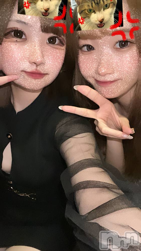 ľťʥå륺С饦㡹(饦󥸥) 85̥֥֤äۡ