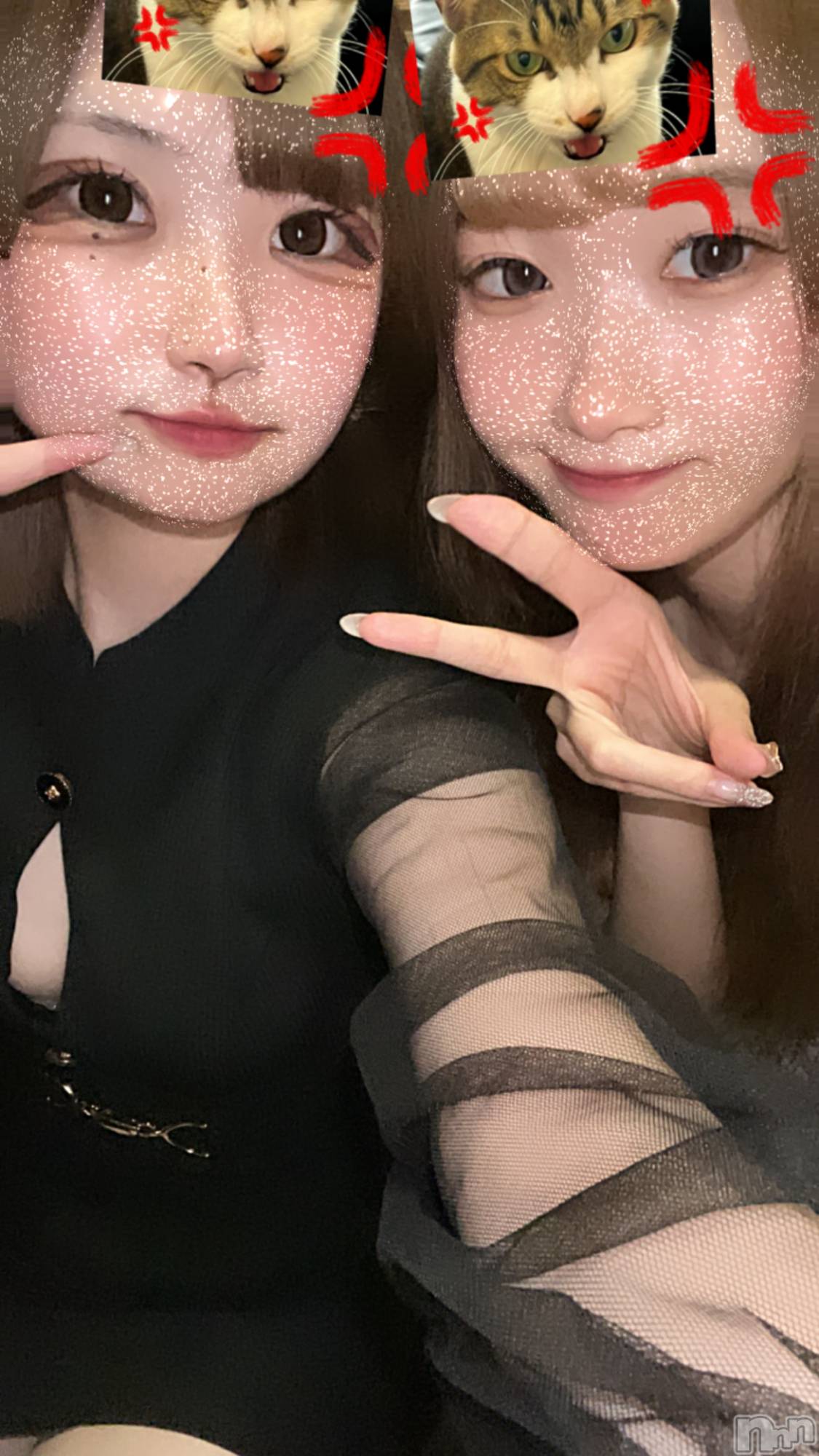 ľťʥå륺С饦㡹(饦󥸥) 2024ǯ85̥֥֤äۡ