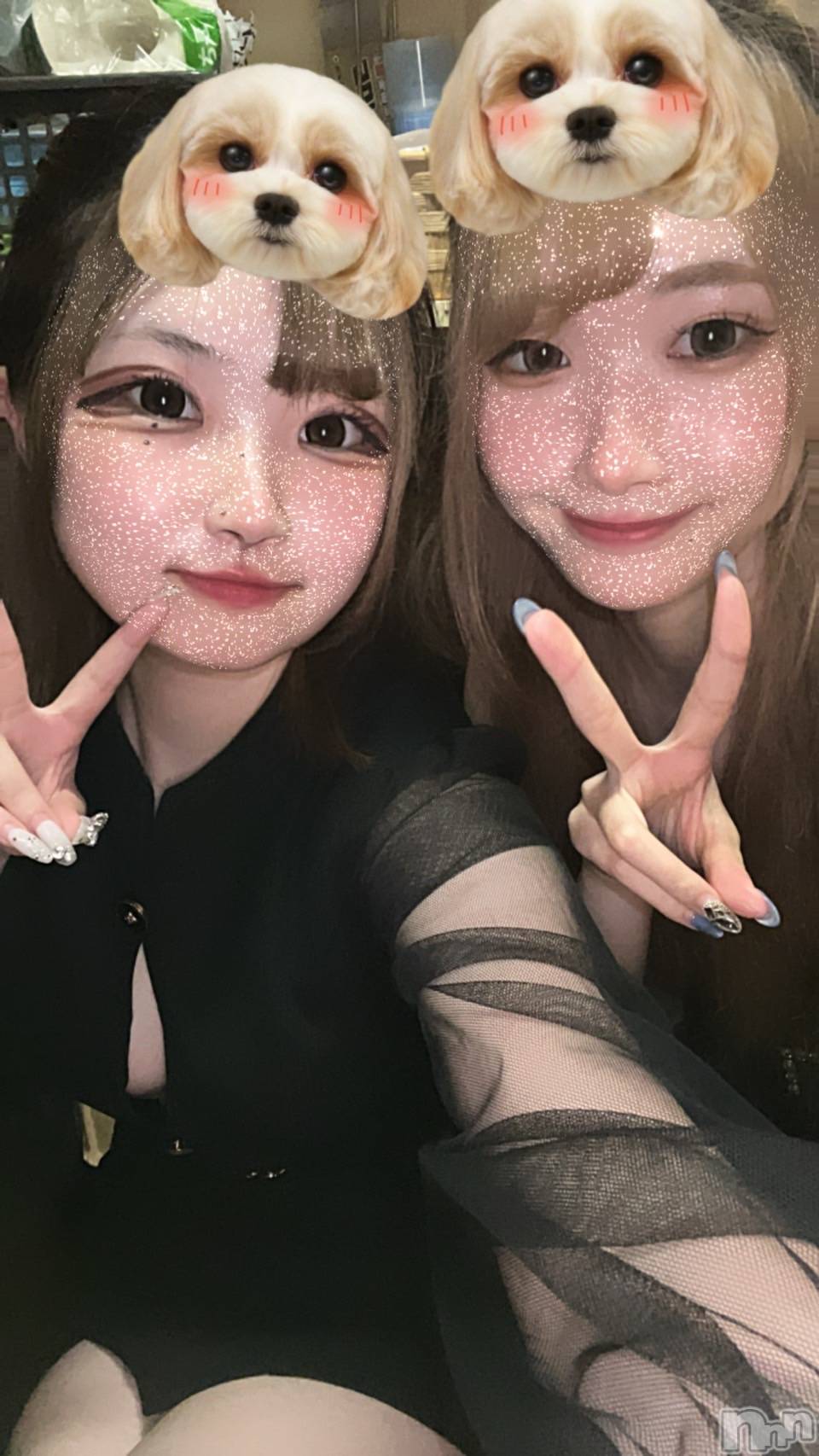 ľťʥå륺С饦㡹(饦󥸥) 2024ǯ94̥֥😉😝🫠