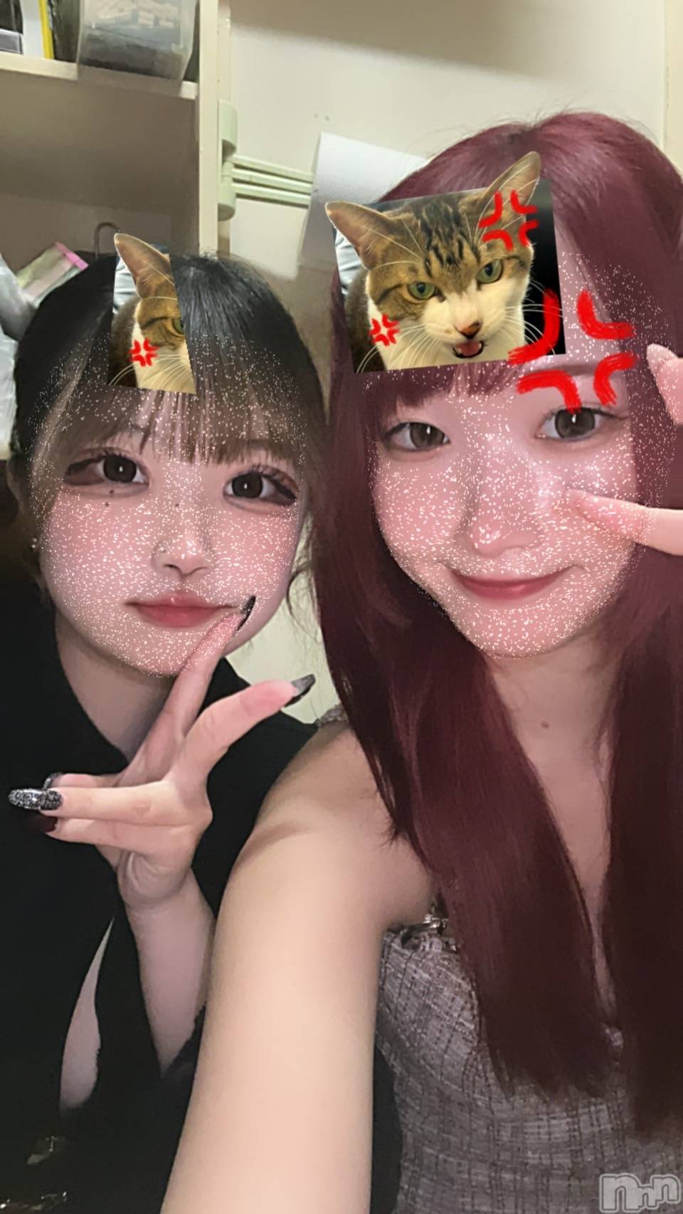 ľťʥå륺С饦㡹(饦󥸥) 2024ǯ930ֺ̥֥⤪Ĥ줵ޡ