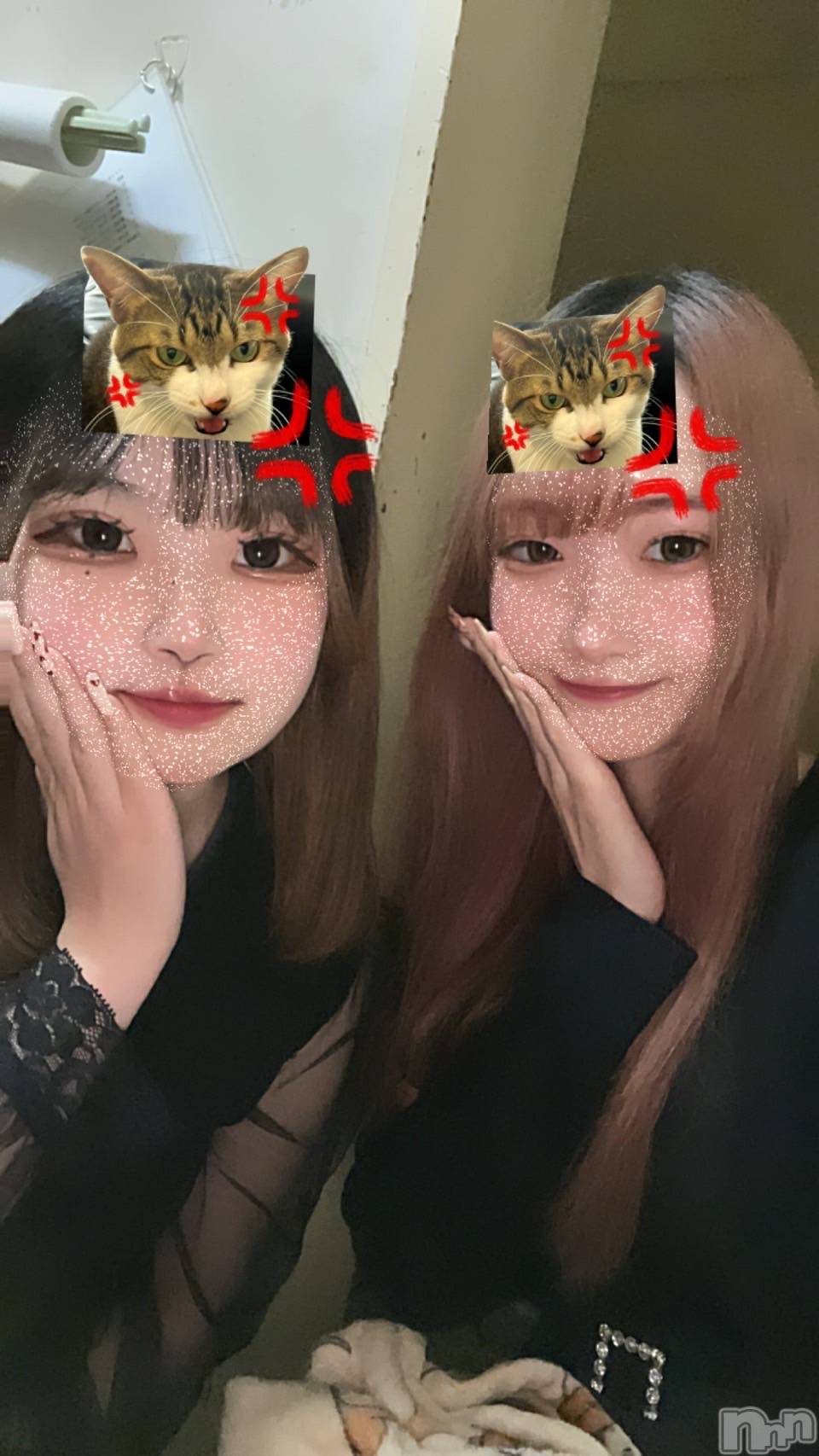 ľťʥå륺С饦㡹(饦󥸥) 2024ǯ1211̥֥֤वࡪ
