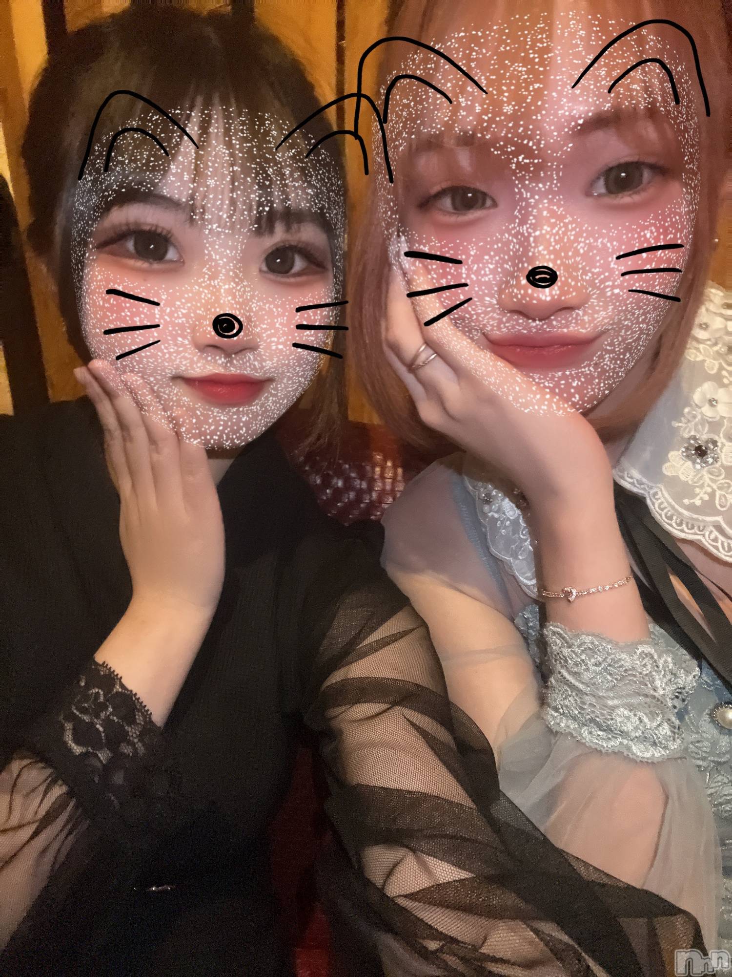ľťʥå륺С饦㡹(饦󥸥) 2025ǯ316̥֥֤꤬Ȥ
