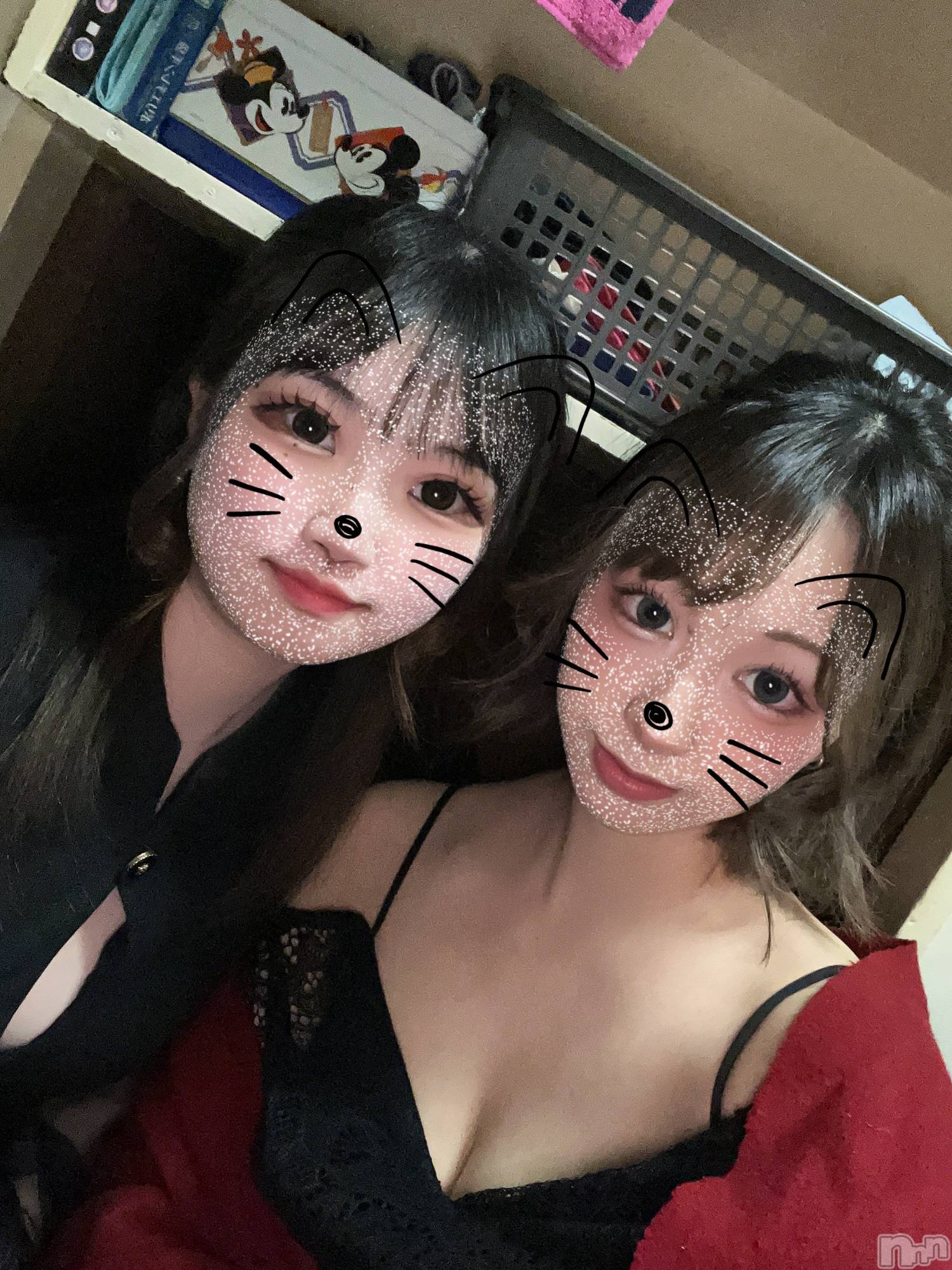 ľťʥå륺С饦㡹(饦󥸥) 2025ǯ419̥֥🎀🎶
