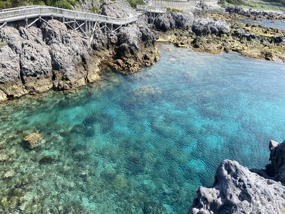 ��ˬ����Х��顦����֥���� �ץ���� ��ˬ(����� �ץ���� ����) �ĳ� �ޤ���6��8���̥�֥�����🌱��