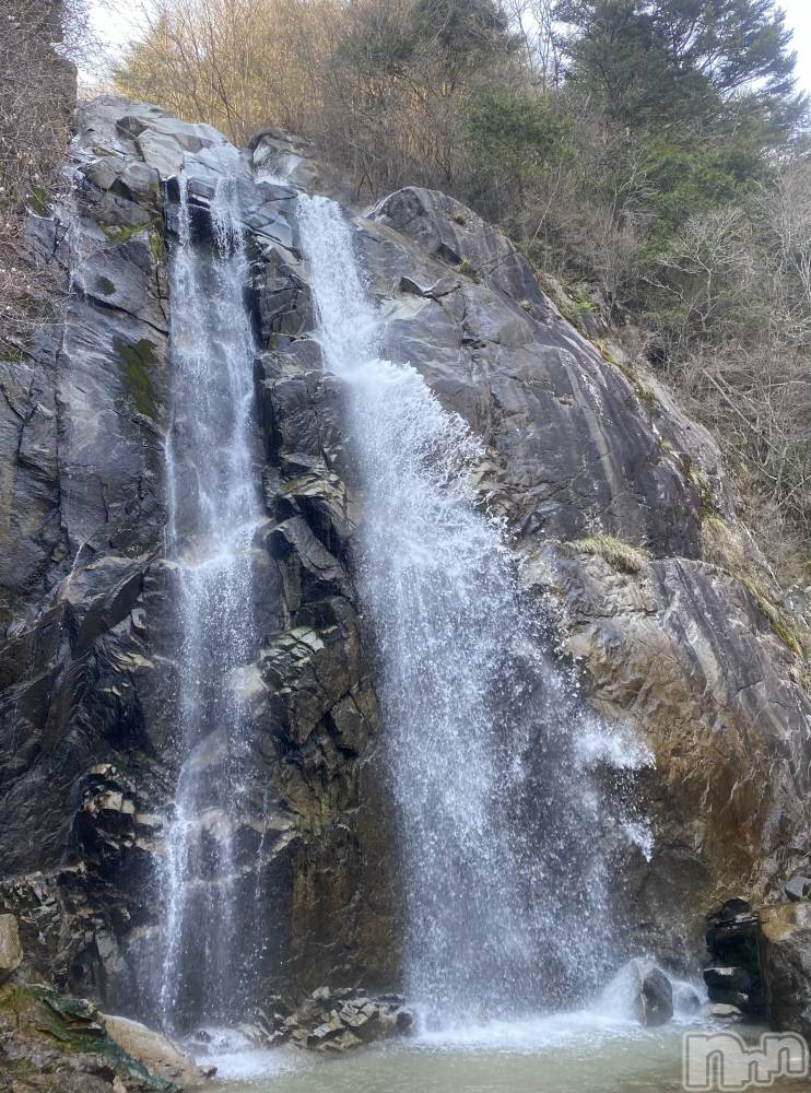 ��ˬ����Х��顦����֥���� �ץ���� ��ˬ(����� �ץ���� ����) �ĳ� �ޤ���6��21���̥�֥�����🌳��