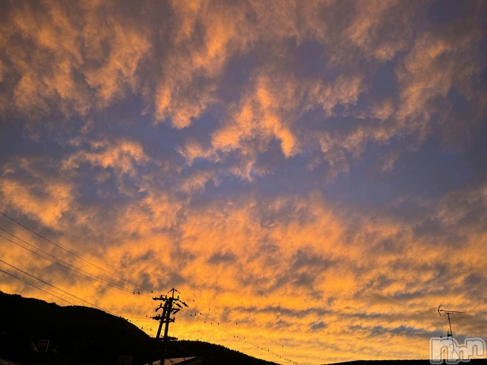 ��ˬ����Х��顦����֥���� �ץ���� ��ˬ(����� �ץ���� ����) �ĳ� �ޤ���9��6���̥�֥�����☀️��