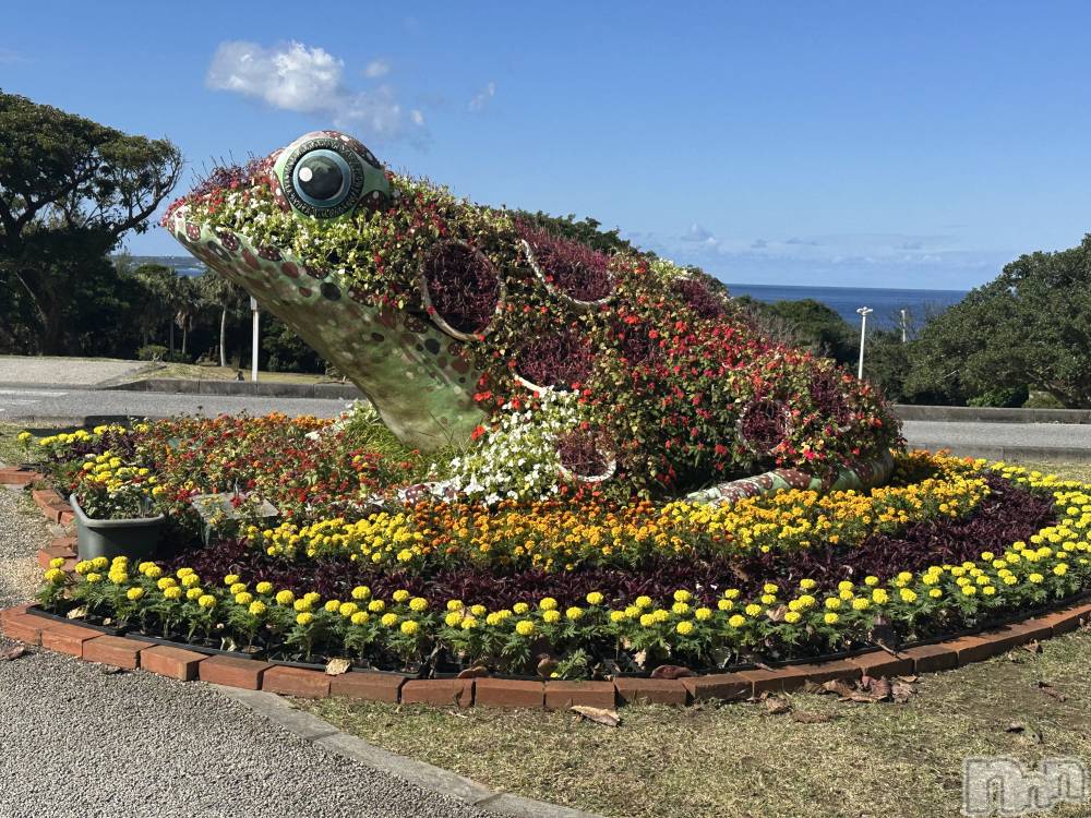 ��ˬ����Х��顦����֥���� �ץ���� ��ˬ(����� �ץ���� ����) �ĳ� �ޤ���1��25���̥�֥�����💚��