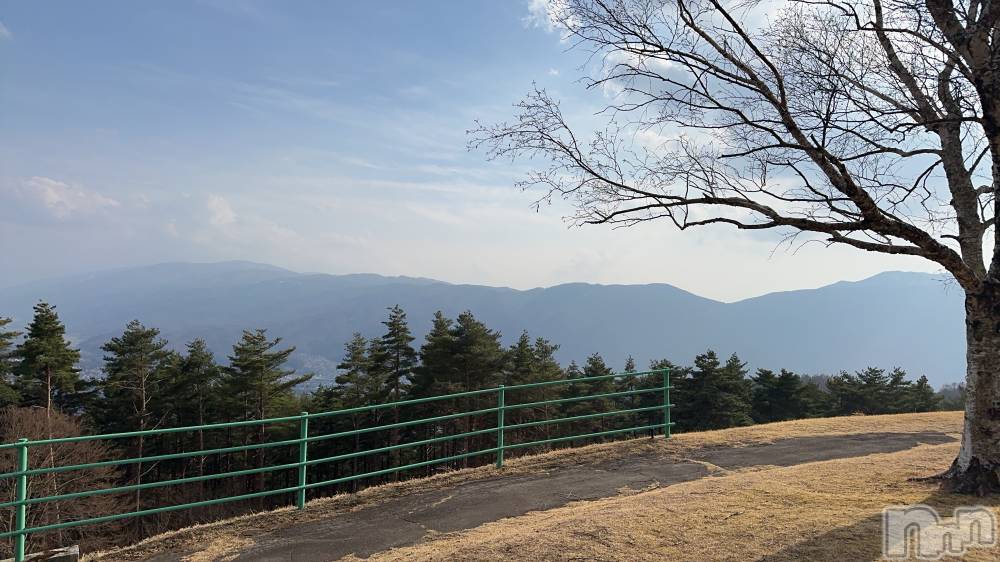 ��ˬ����Х��顦����֥���� �ץ���� ��ˬ(����� �ץ���� ����) �ĳ� �ޤ���3��28���̥�֥�����🌳��