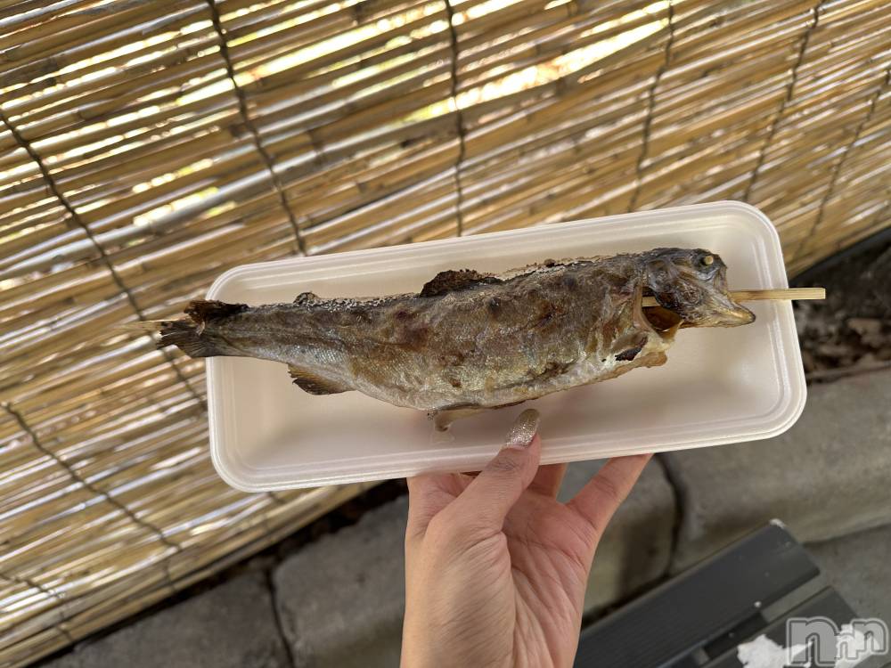 ��ˬ����Х��顦����֥���� �ץ���� ��ˬ(����� �ץ���� ����) �ĳ� �ޤ���5��13���̥�֥�����🐟��