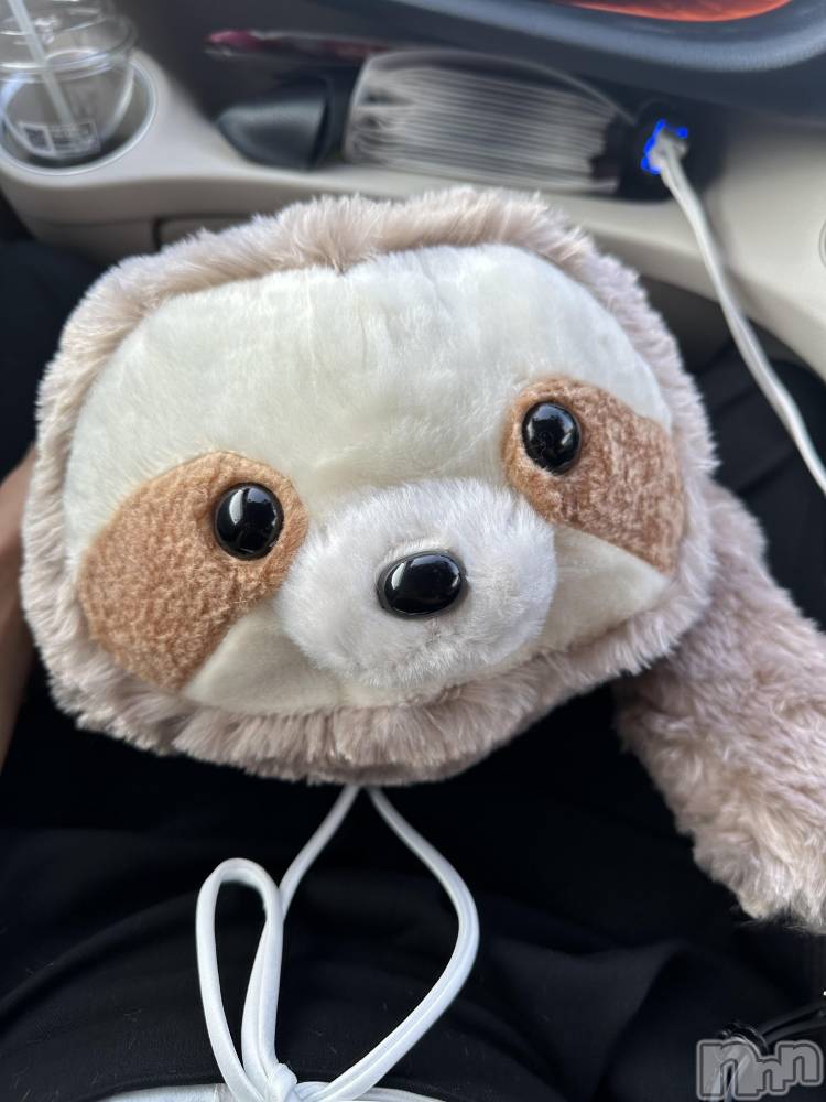 ��ˬ����Х��顦����֥���� �ץ���� ��ˬ(����� �ץ���� ����) �ĳ� �ޤ���8��28���̥�֥�����🦥��