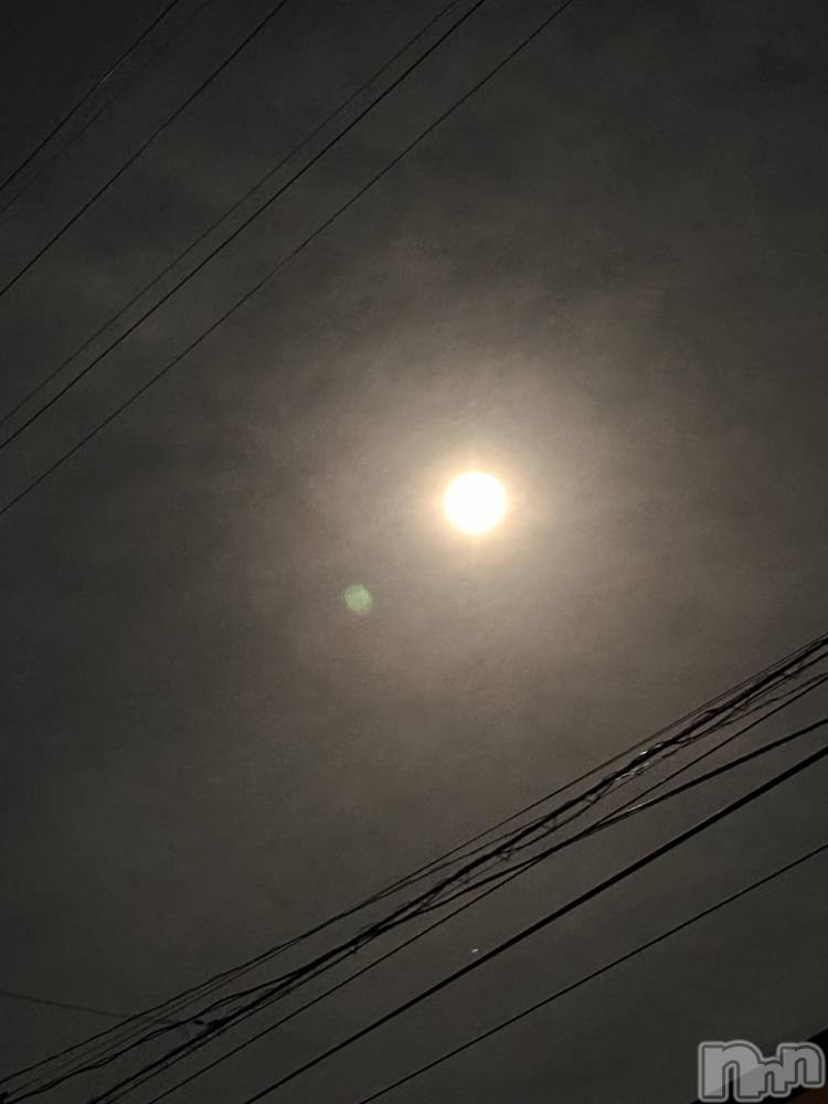 ��ˬ����Х��顦����֥���� �ץ���� ��ˬ(����� �ץ���� ����) �ĳ� �ޤ���10��14���̥�֥�����🌕��