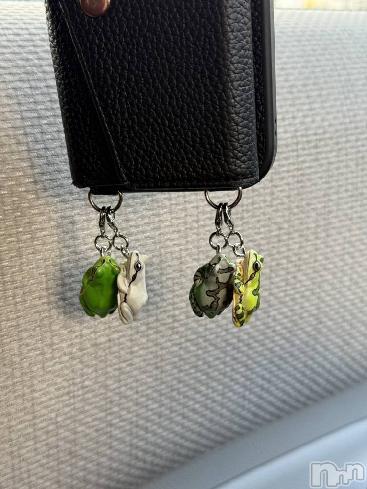 ��ˬ����Х��顦����֥���� �ץ���� ��ˬ(����� �ץ���� ����) �ĳ� �ޤ���12��5���̥�֥�����🐸��