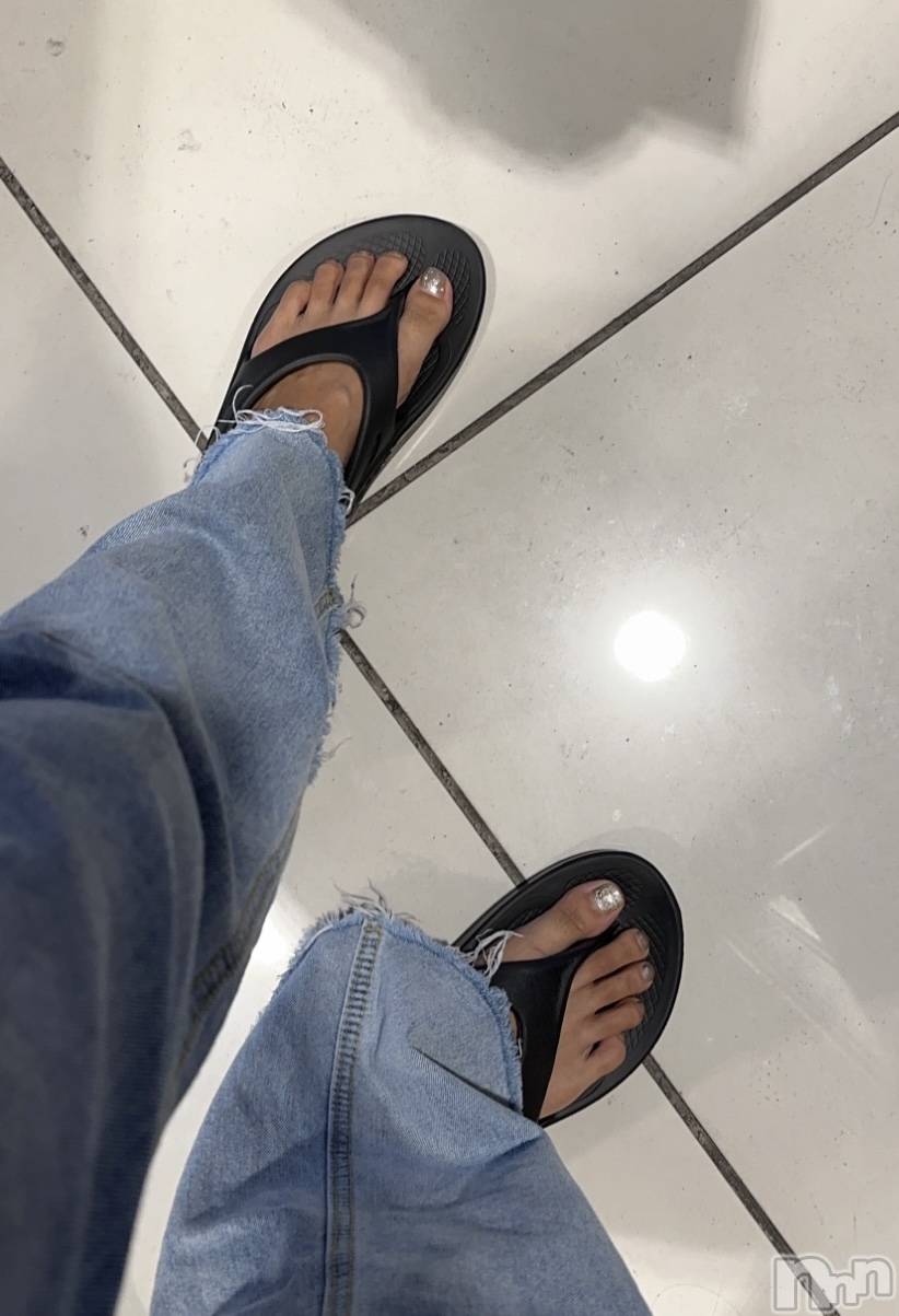 ��ˬ����Х��顦����֥���� �ץ���� ��ˬ(����� �ץ���� ����) ��2024ǯ8��31���̥�֥�����🩴��