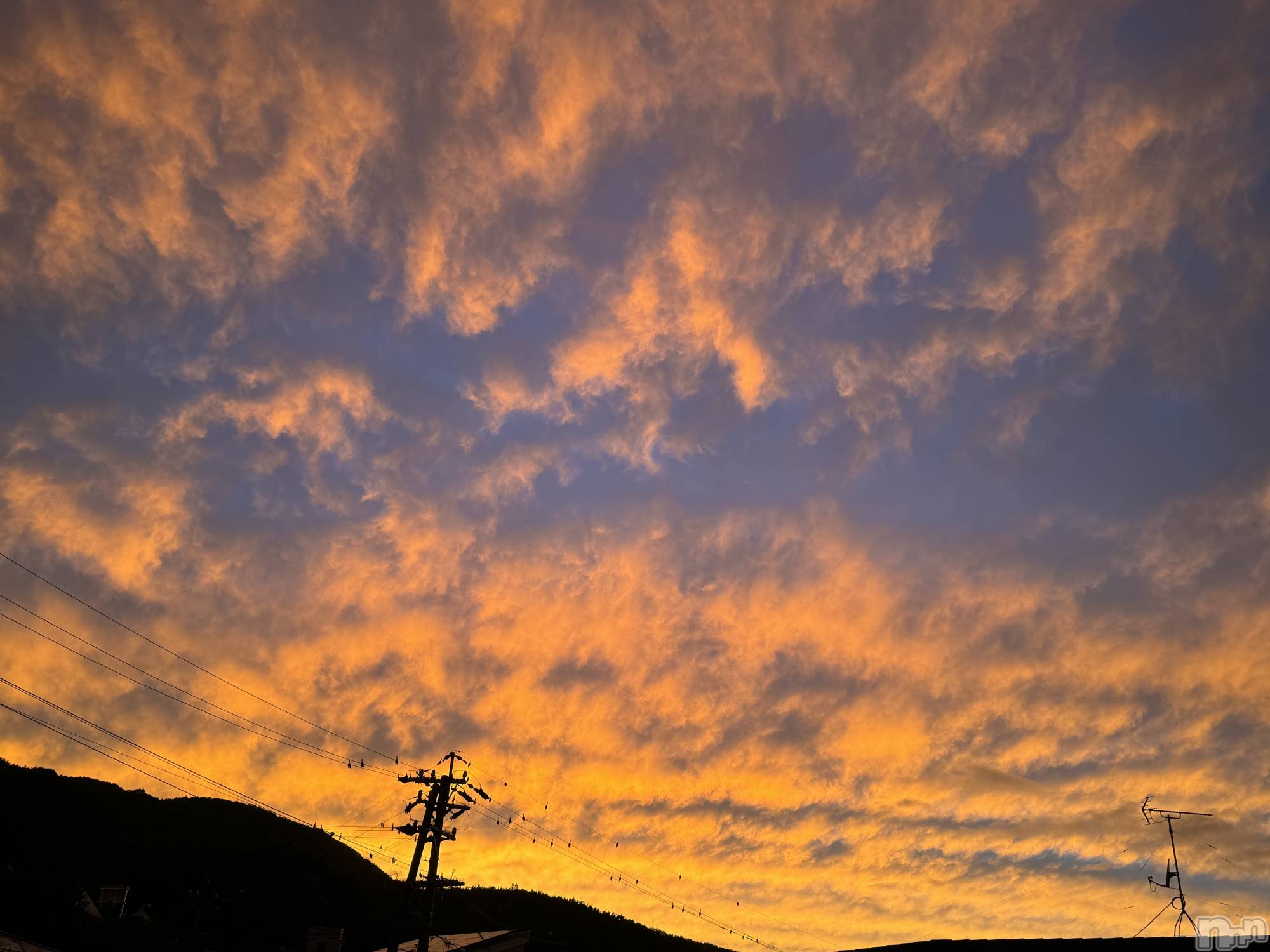 ��ˬ����Х��顦����֥���� �ץ���� ��ˬ(����� �ץ���� ����) ��2024ǯ9��6���̥�֥�����☀️��