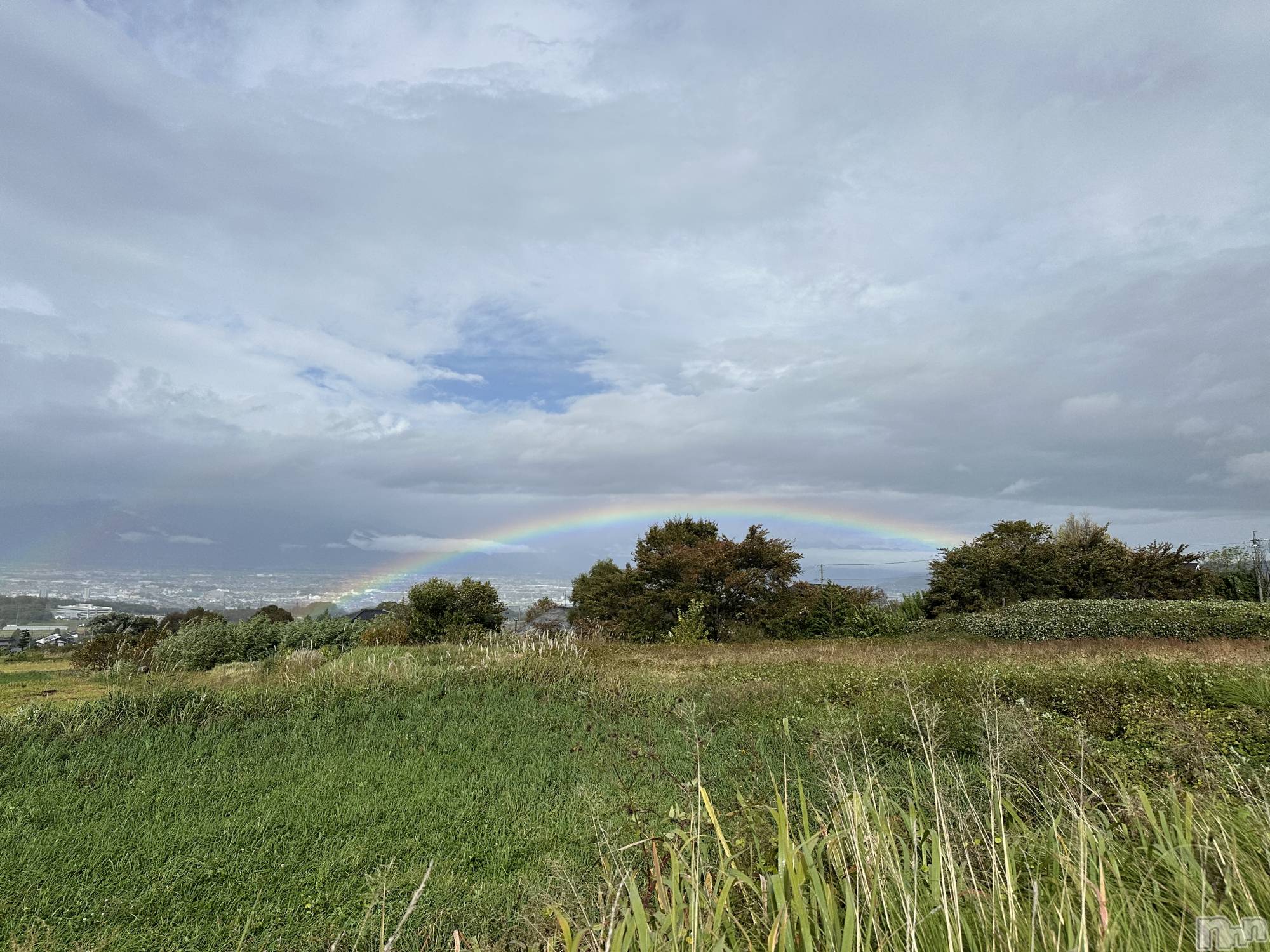 ��ˬ����Х��顦����֥���� �ץ���� ��ˬ(����� �ץ���� ����) ��2024ǯ10��30���̥�֥�����🌈��