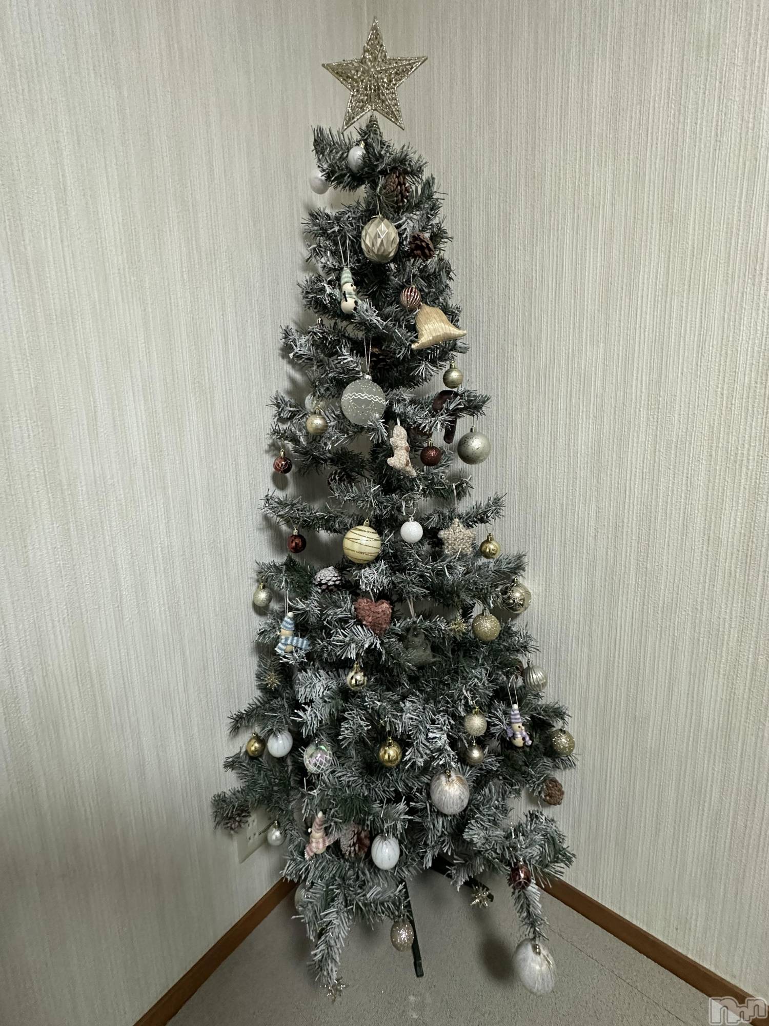 ��ˬ����Х��顦����֥���� �ץ���� ��ˬ(����� �ץ���� ����) ��2024ǯ12��5���̥�֥�����🎄��