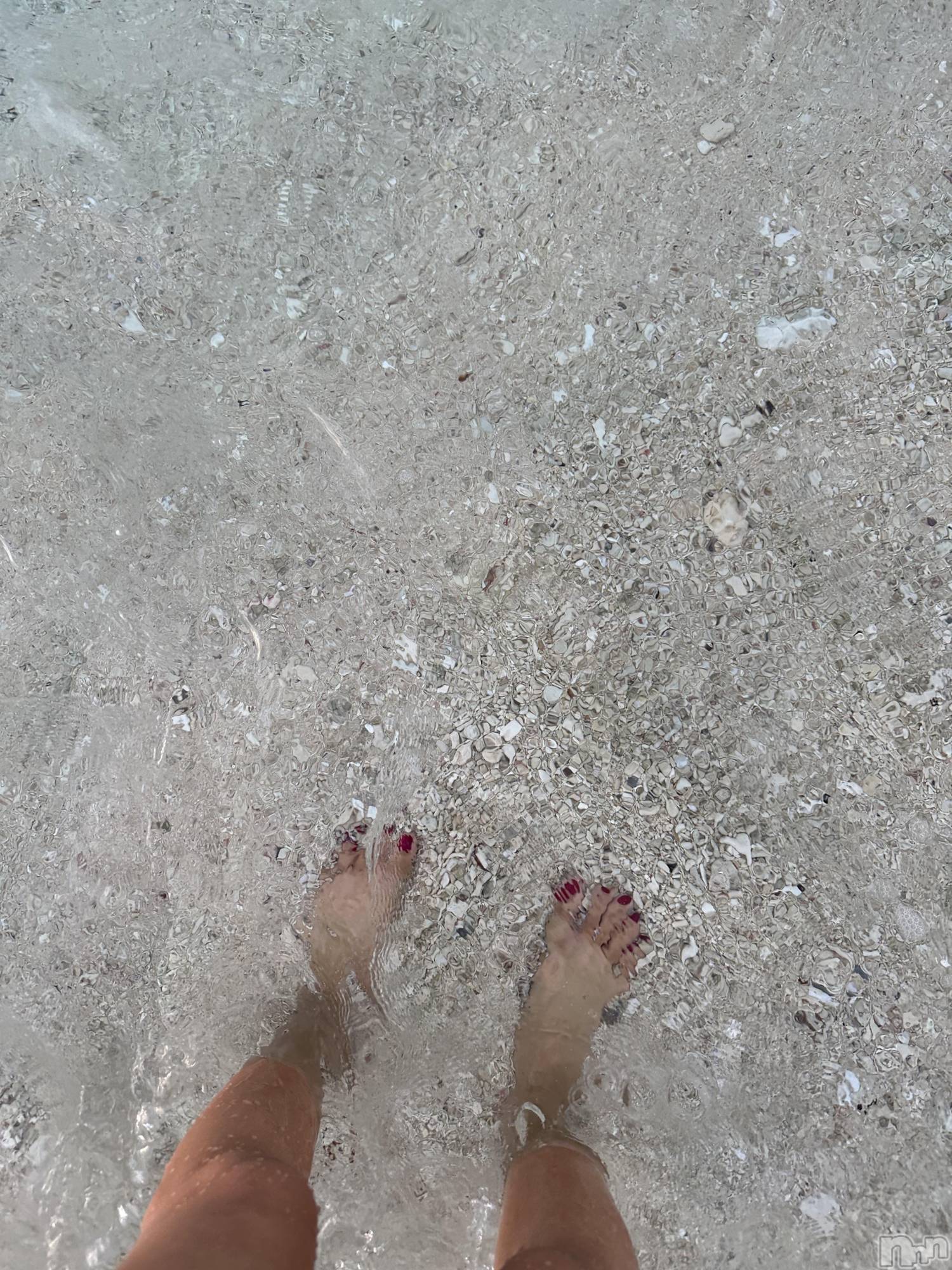 ��ˬ����Х��顦����֥���� �ץ���� ��ˬ(����� �ץ���� ����) ��2024ǯ12��26���̥�֥�����🌊��