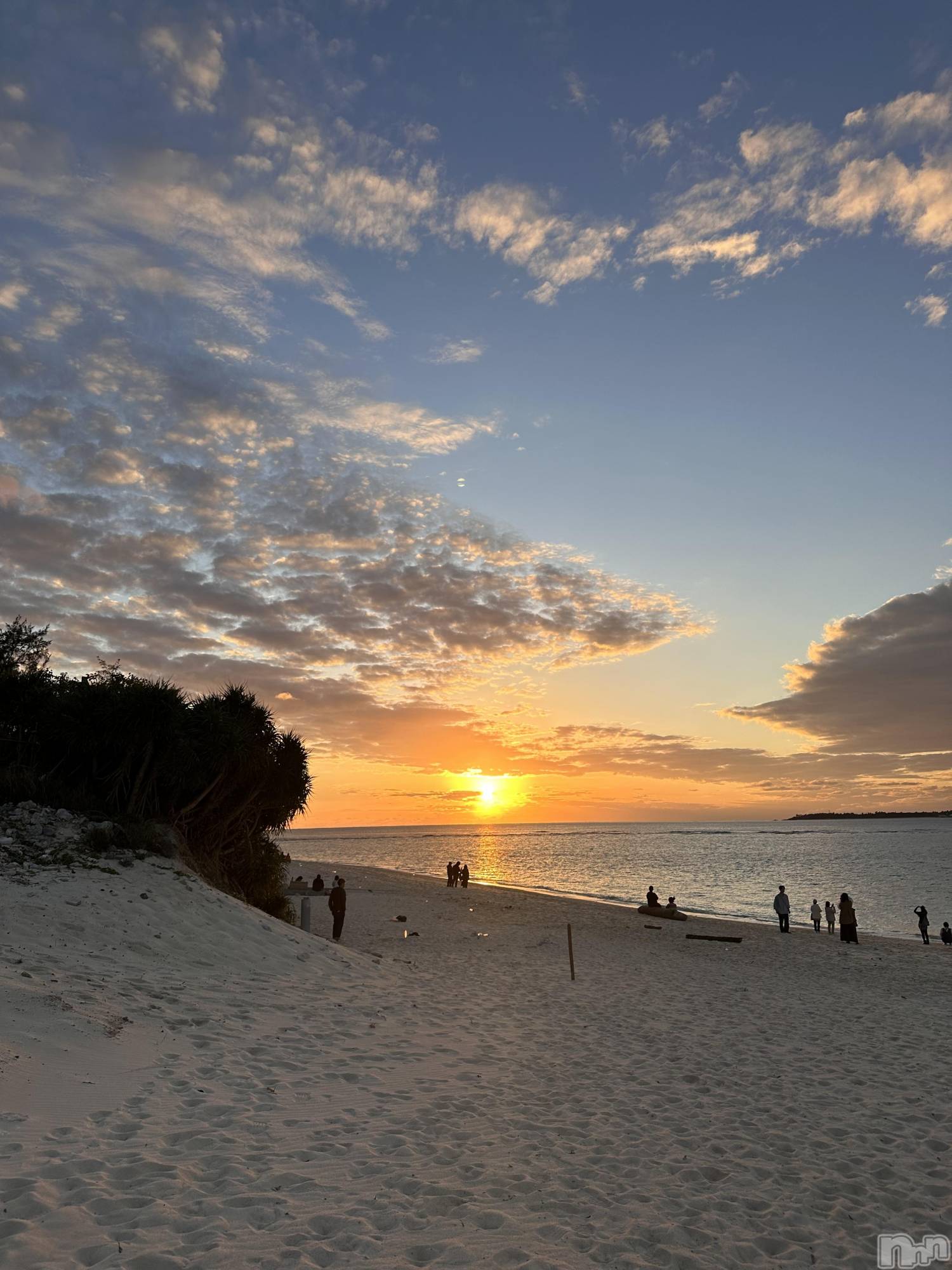 ��ˬ����Х��顦����֥���� �ץ���� ��ˬ(����� �ץ���� ����) ��2025ǯ1��7���̥�֥�����🌊��