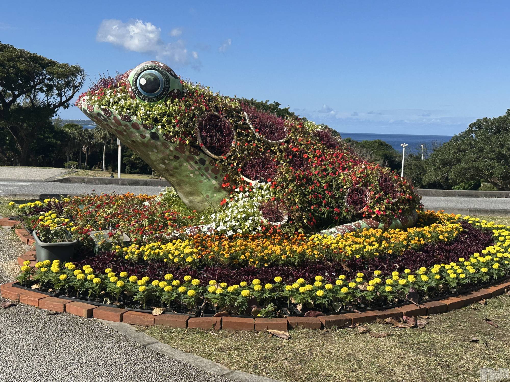 ��ˬ����Х��顦����֥���� �ץ���� ��ˬ(����� �ץ���� ����) ��2025ǯ1��25���̥�֥�����💚��