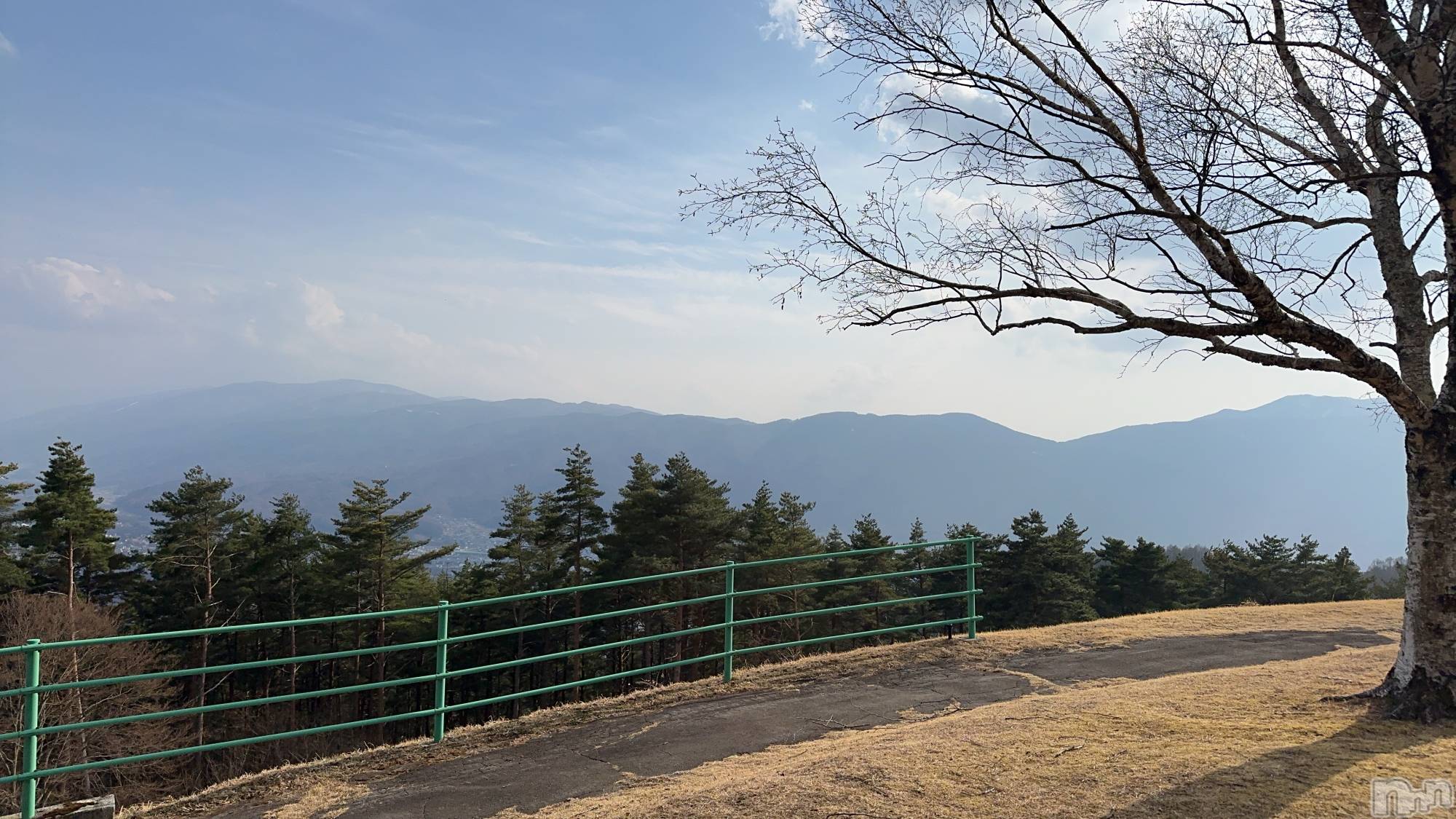 ��ˬ����Х��顦����֥���� �ץ���� ��ˬ(����� �ץ���� ����) ��2025ǯ3��28���̥�֥�����🌳��