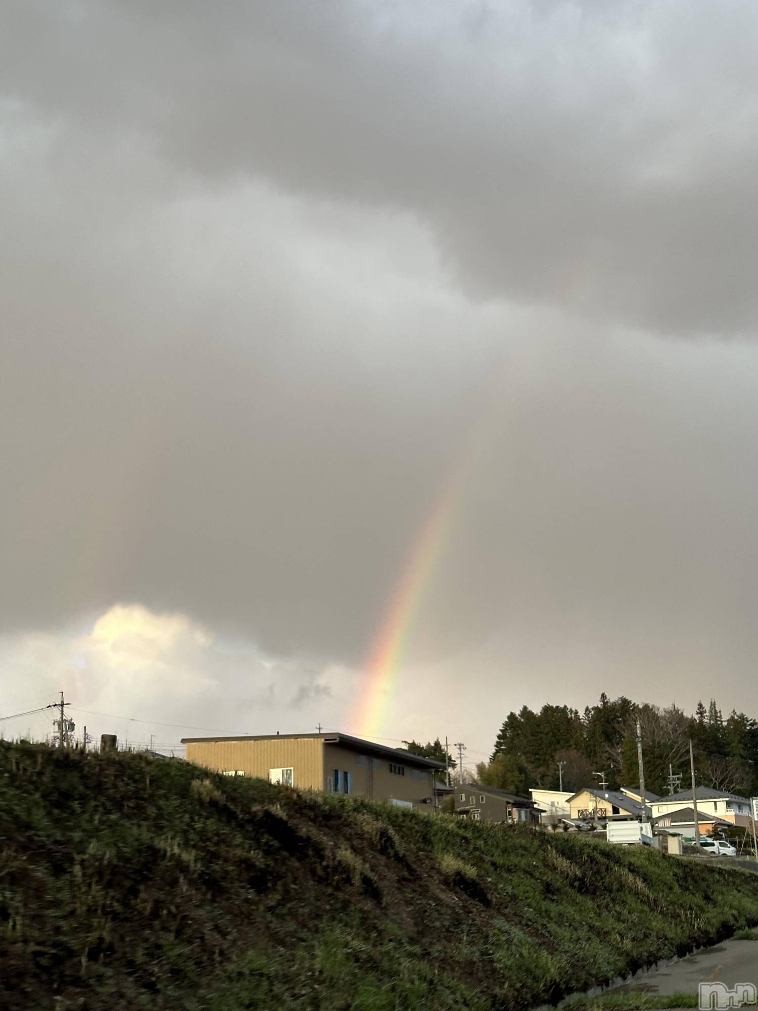 ��ˬ����Х��顦����֥���� �ץ���� ��ˬ(����� �ץ���� ����) ��2025ǯ4��16���̥�֥�����🌈��