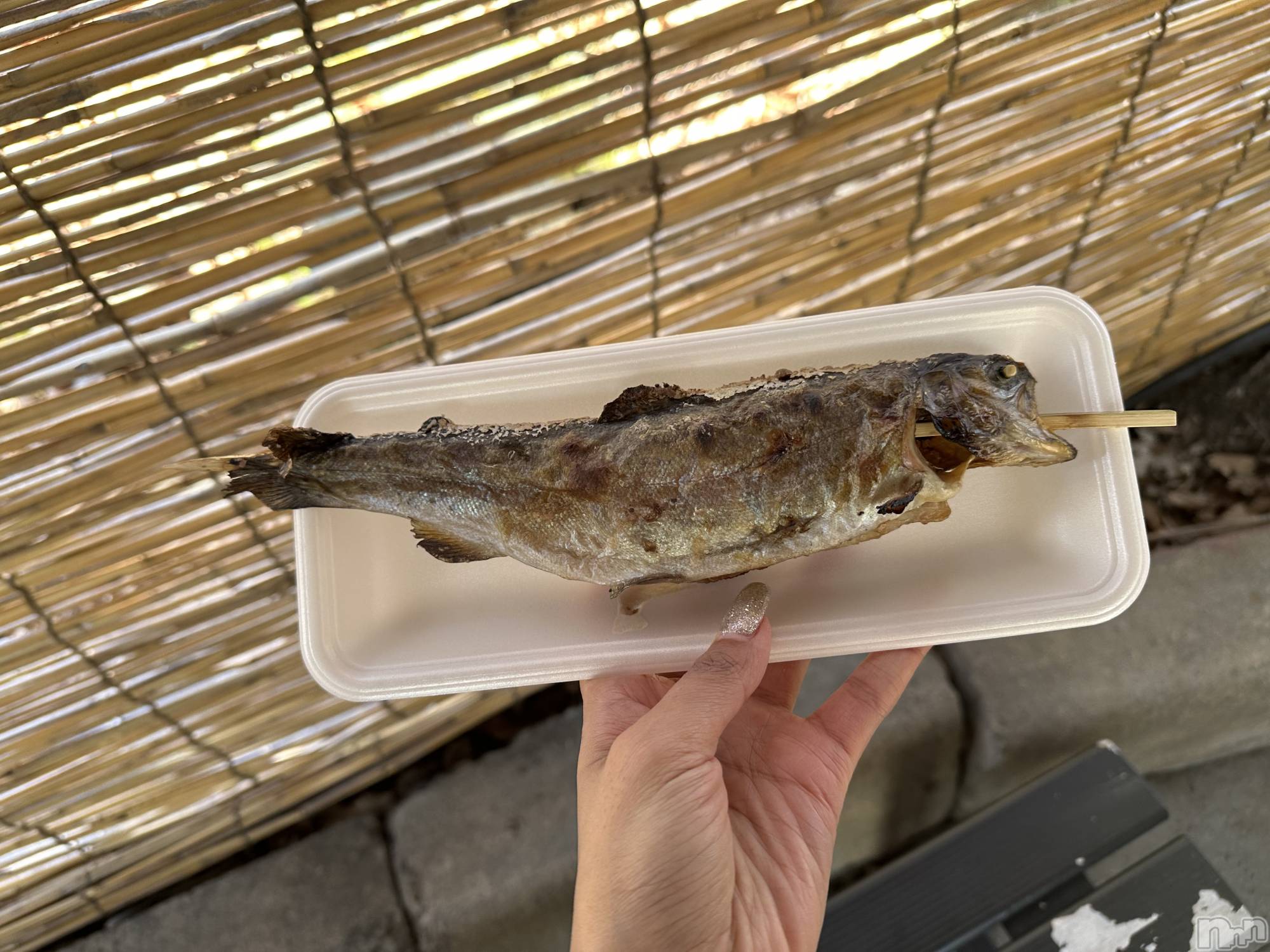 ��ˬ����Х��顦����֥���� �ץ���� ��ˬ(����� �ץ���� ����) ��2025ǯ5��13���̥�֥�����🐟��