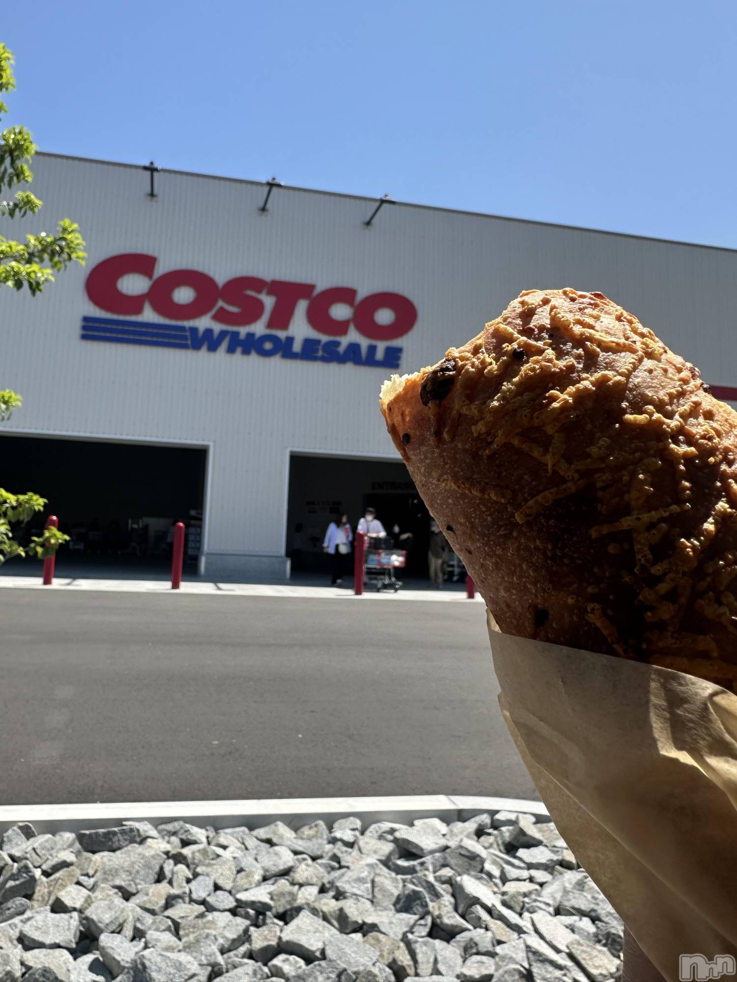 ��ˬ����Х��顦����֥���� �ץ���� ��ˬ(����� �ץ���� ����) ��2025ǯ6��10���̥�֥�����🍞��