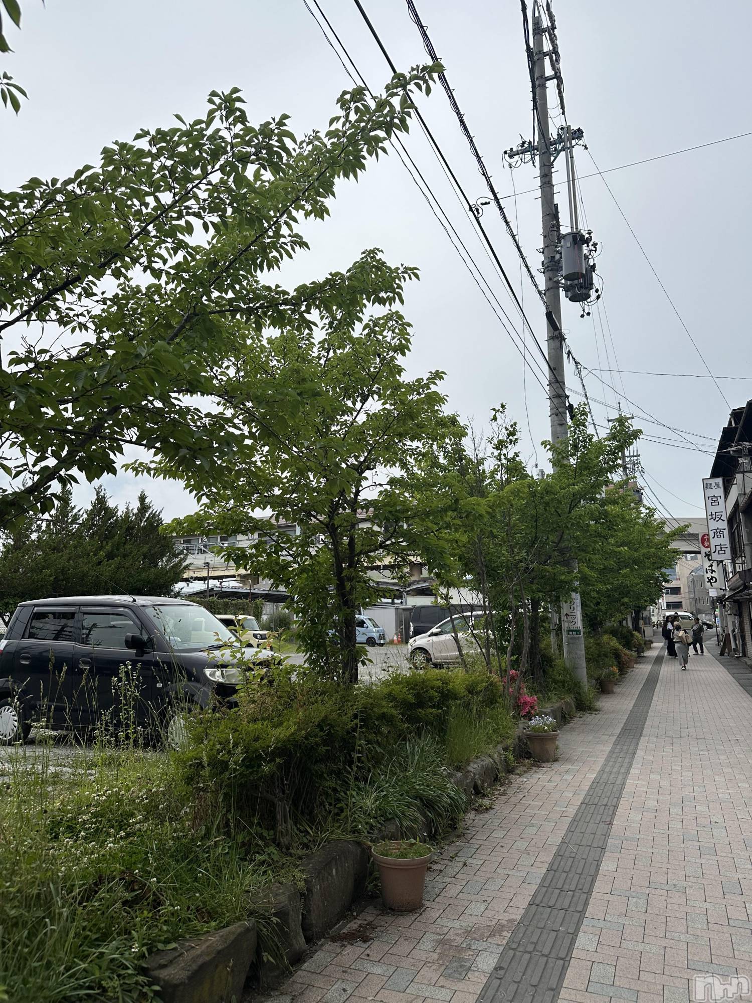 ��ˬ����Х��顦����֥���� �ץ���� ��ˬ(����� �ץ���� ����) ��2025ǯ6��14���̥�֥�����😚��