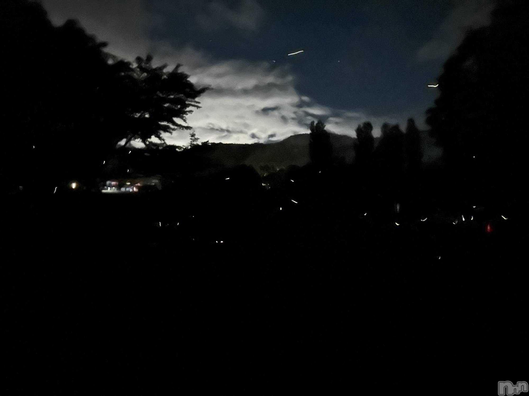 ��ˬ����Х��顦����֥���� �ץ���� ��ˬ(����� �ץ���� ����) ��2025ǯ6��19���̥�֥�����✨��