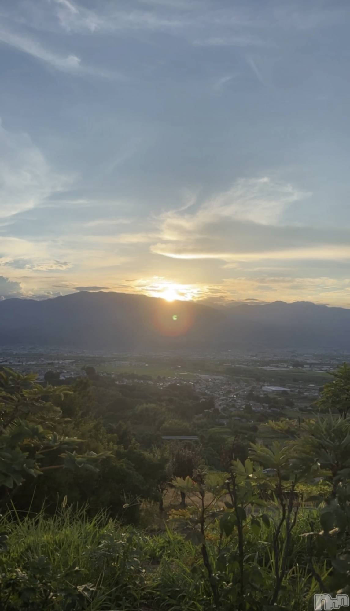 ��ˬ����Х��顦����֥���� �ץ���� ��ˬ(����� �ץ���� ����) ��2025ǯ7��30���̥�֥�����🌆��