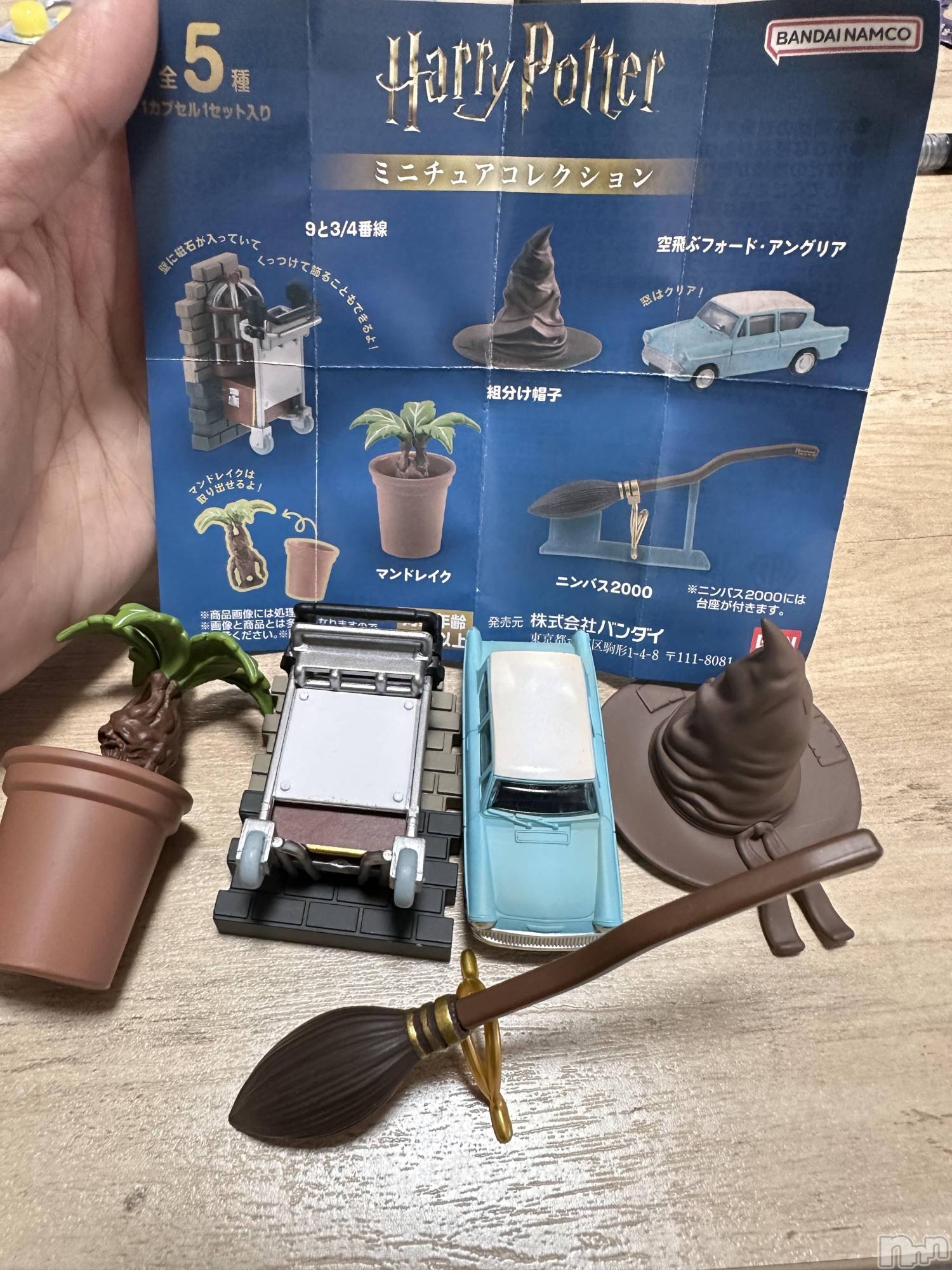 ��ˬ����Х��顦����֥���� �ץ���� ��ˬ(����� �ץ���� ����) ��2025ǯ10��22���̥�֥�����🪄��