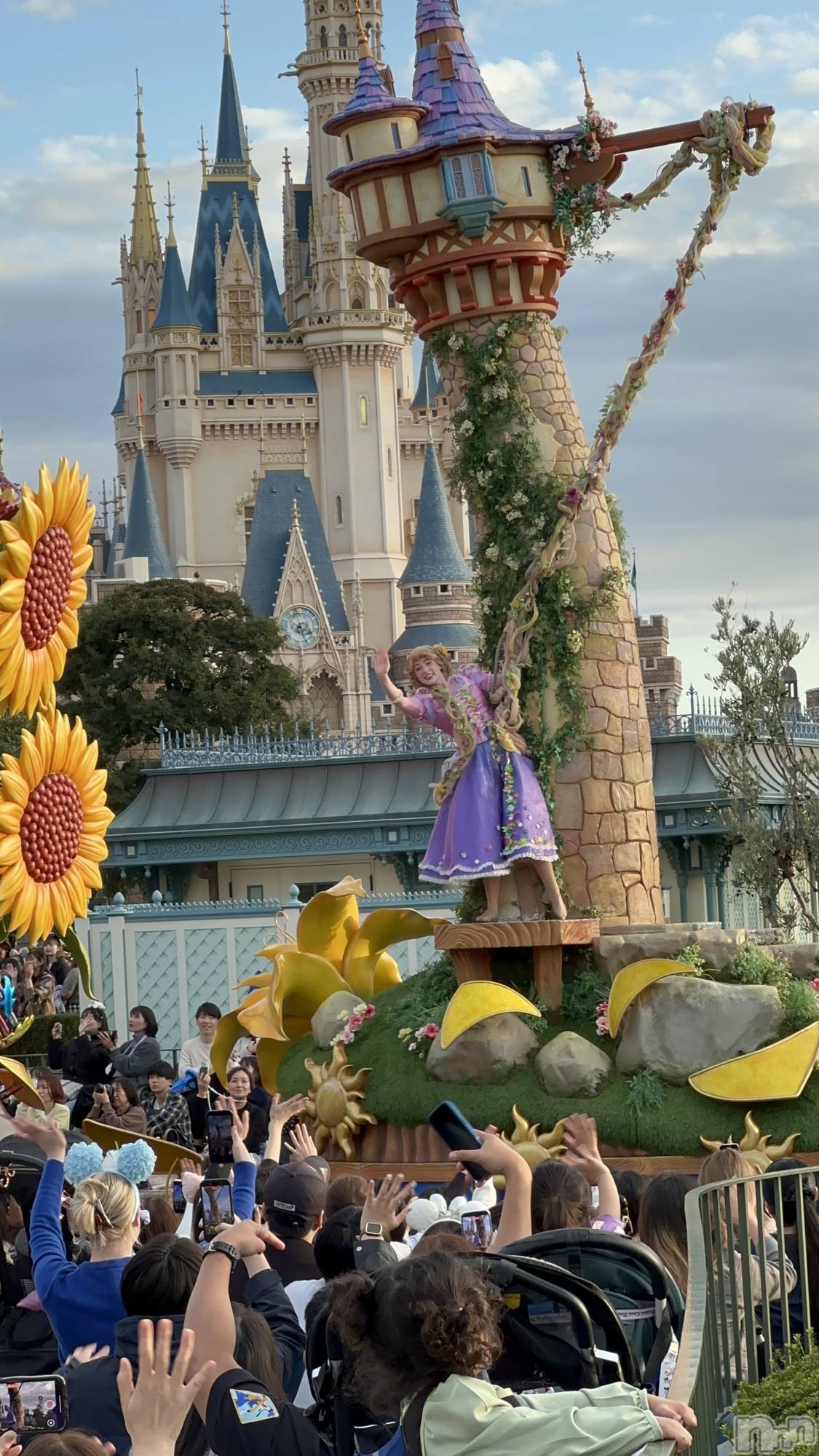 ��ˬ����Х��顦����֥���� �ץ���� ��ˬ(����� �ץ���� ����) ��2025ǯ11��16���̥�֥�����🏰��