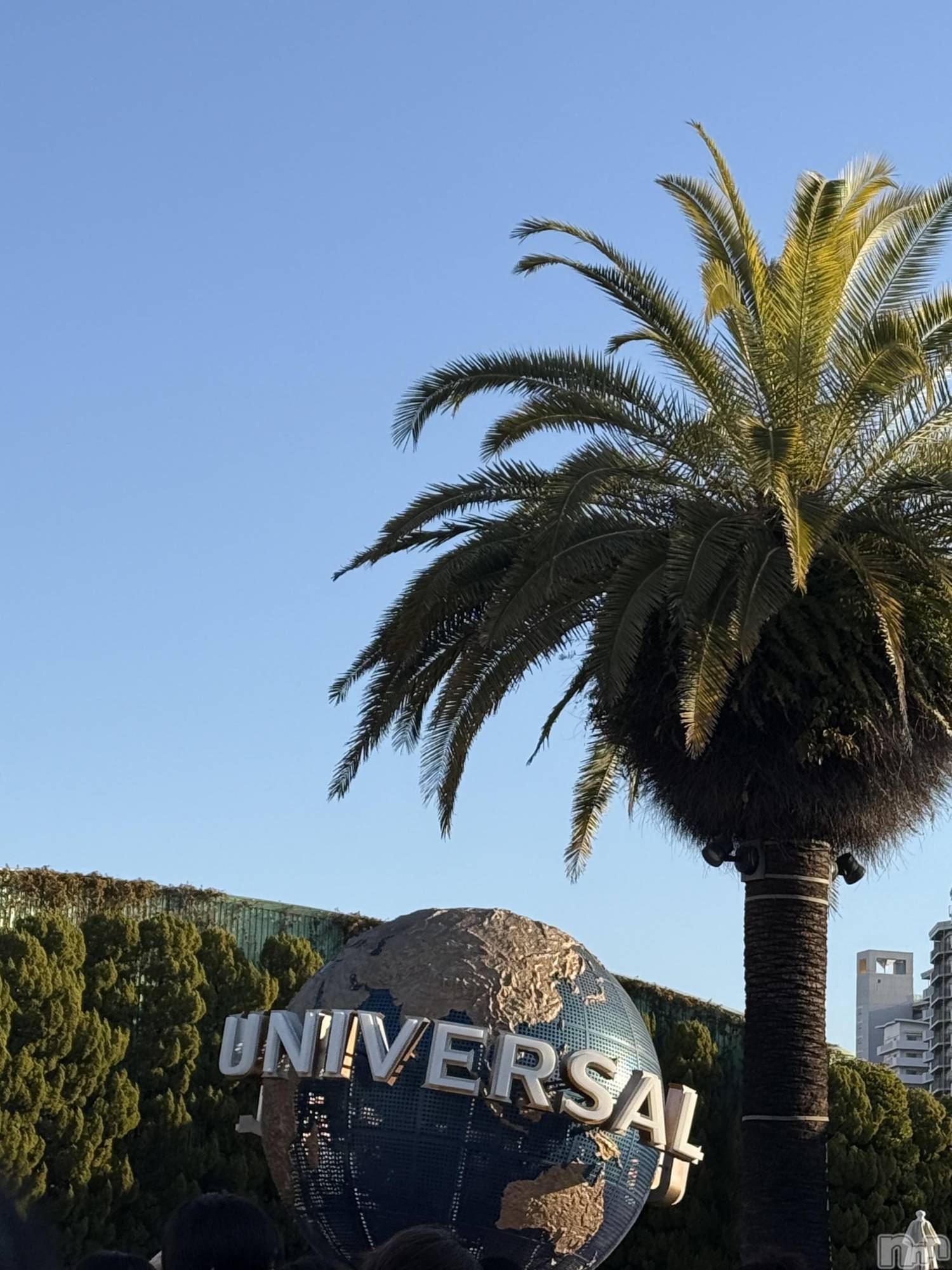 ��ˬ����Х��顦����֥���� �ץ���� ��ˬ(����� �ץ���� ����) ��2026ǯ1��21���̥�֥�����✈️��