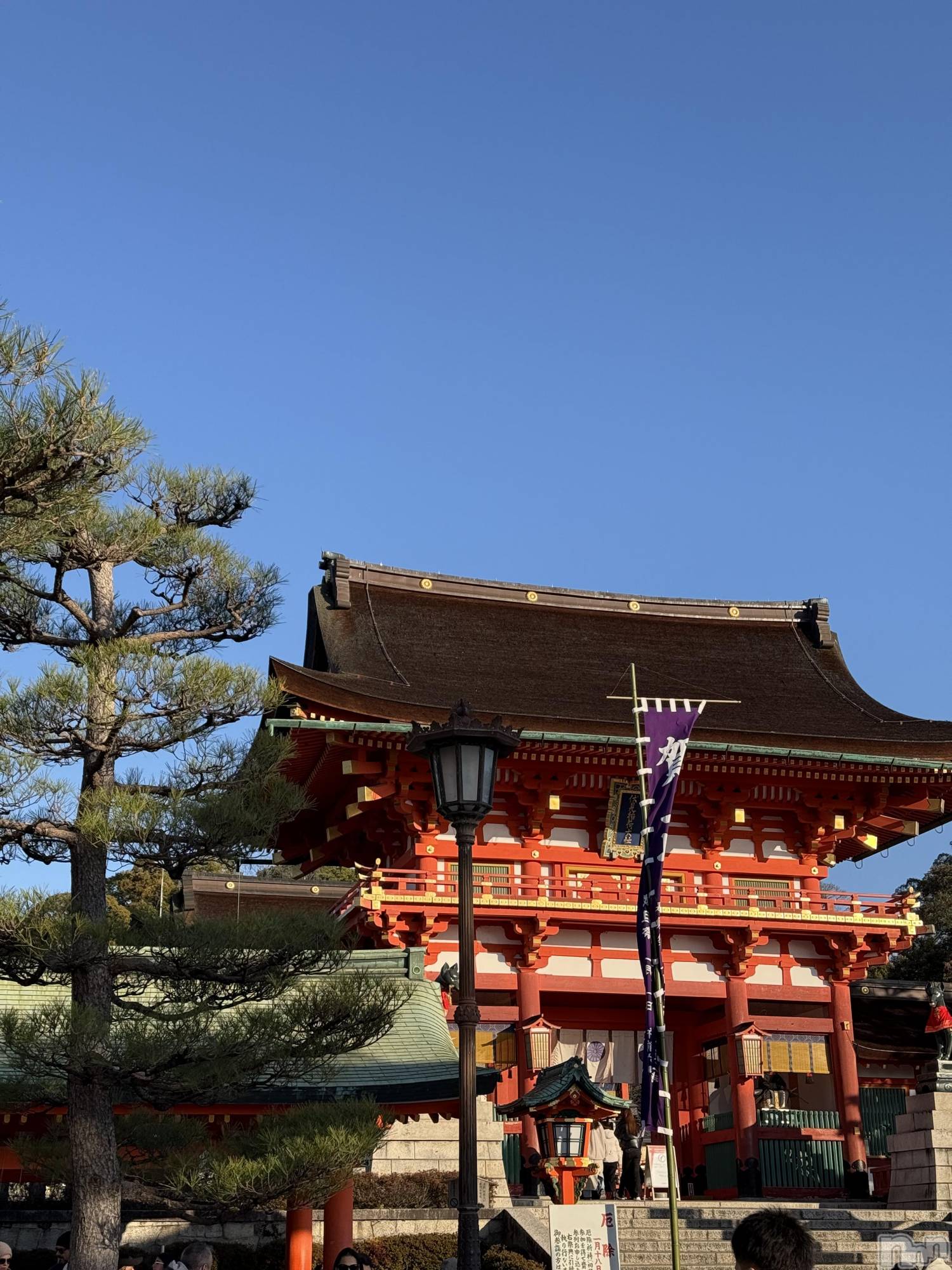 ��ˬ����Х��顦����֥���� �ץ���� ��ˬ(����� �ץ���� ����) ��2026ǯ1��23���̥�֥�����⛩️��