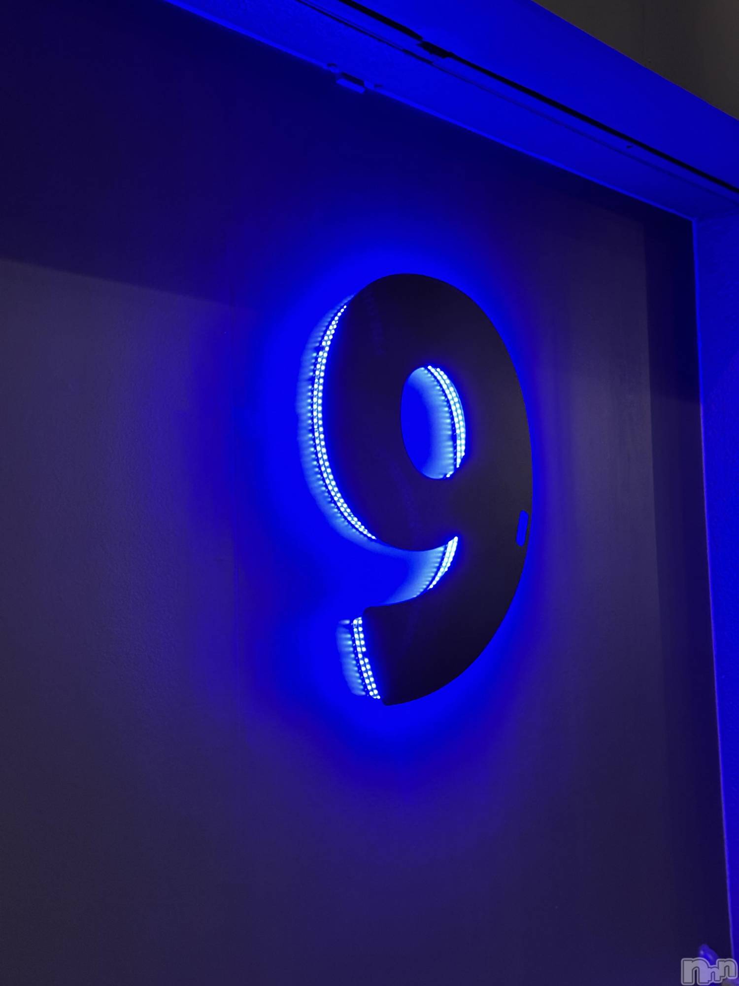 ��ˬ����Х��顦����֥���� �ץ���� ��ˬ(����� �ץ���� ����) ��2026ǯ3��5���̥�֥�����🤭��