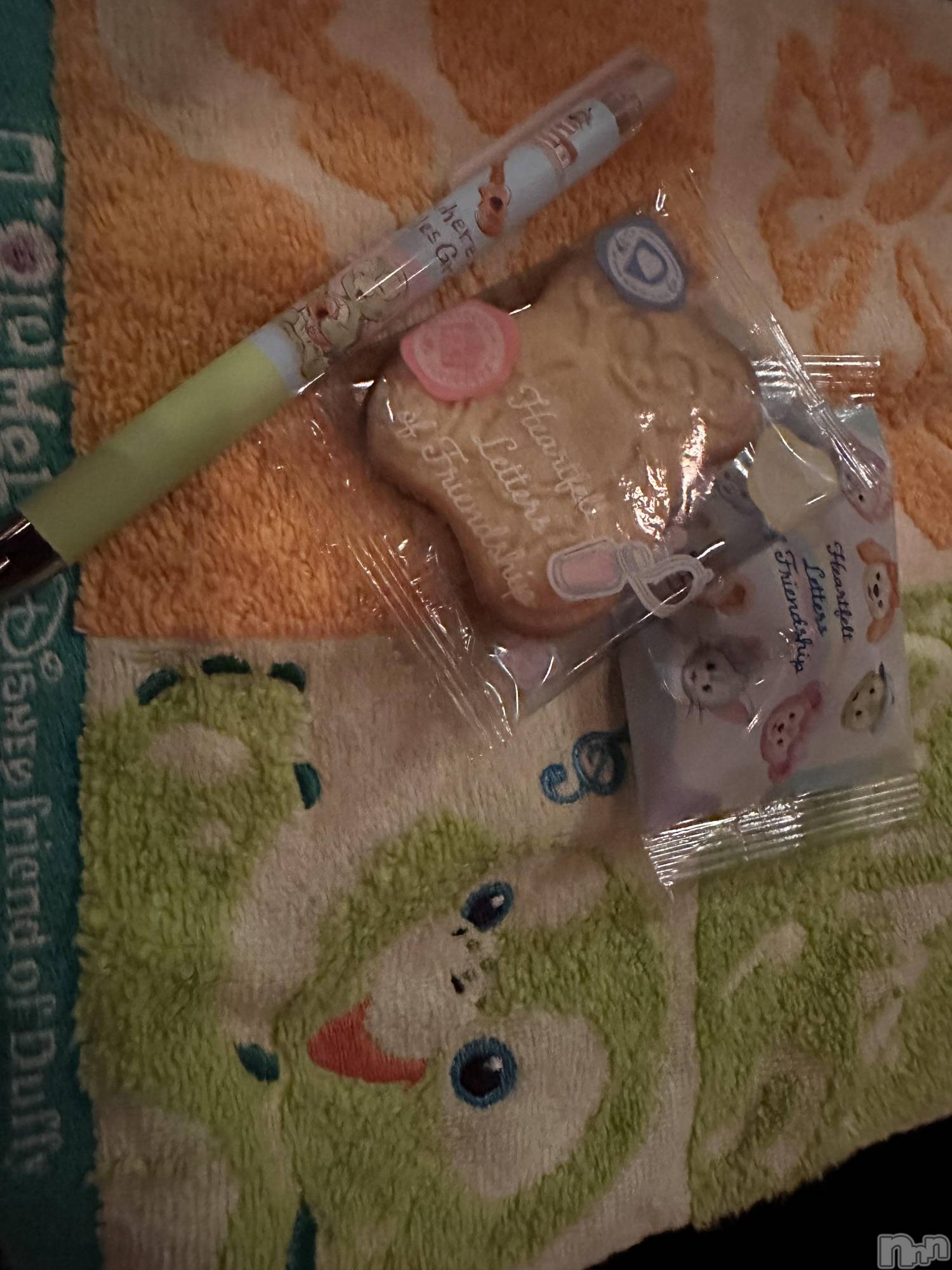 ��ˬ����Х��顦����֥���� �ץ���� ��ˬ(����� �ץ���� ����) ��2026ǯ3��13���̥�֥�����🐢��