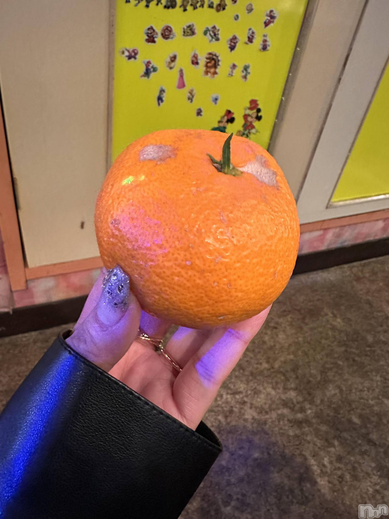 ��ˬ����Х��顦����֥���� �ץ���� ��ˬ(����� �ץ���� ����) ��2026ǯ3��14���̥�֥�����🍊��