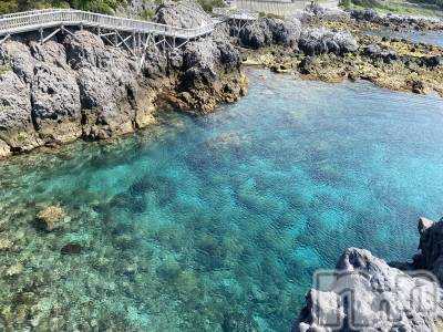 ��ˬ����Х��顦����֥���� �ץ���� ��ˬ(����� �ץ���� ����) �ĳ� �ޤ�(26)��6��8���̥�֥�����🌱��