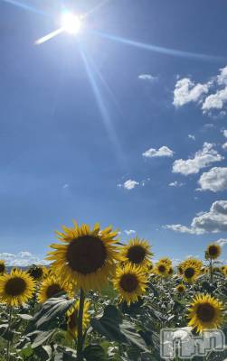 ��ˬ����Х��顦����֥���� �ץ���� ��ˬ(����� �ץ���� ����) �ĳ� �ޤ�(26)��6��11���̥�֥�����☀️��