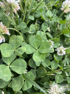 ��ˬ����Х��顦����֥���� �ץ���� ��ˬ(����� �ץ���� ����) �ĳ� �ޤ�(26)��6��15���̥�֥�����🍀��