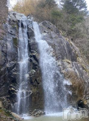 ��ˬ����Х��顦����֥���� �ץ���� ��ˬ(����� �ץ���� ����) �ĳ� �ޤ�(26)��6��21���̥�֥�����🌳��