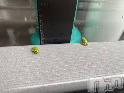 ��ˬ����Х��顦����֥���� �ץ���� ��ˬ(����� �ץ���� ����) �ĳ� �ޤ�(26)��7��4���̥�֥�����☔️🐸��