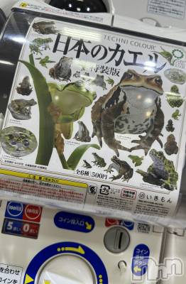 ��ˬ����Х��顦����֥���� �ץ���� ��ˬ(����� �ץ���� ����) �ĳ� �ޤ�(26)��8��27���̥�֥�����🐸��