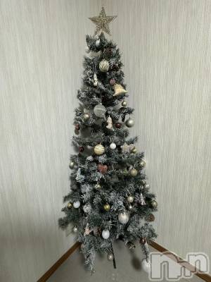 ��ˬ����Х��顦����֥���� �ץ���� ��ˬ(����� �ץ���� ����) �ĳ� �ޤ�(26)��12��5���̥�֥�����🎄��