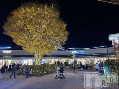 ��ˬ����Х��顦����֥���� �ץ���� ��ˬ(����� �ץ���� ����) �ĳ� �ޤ�(26)��12��10���̥�֥�����💡��