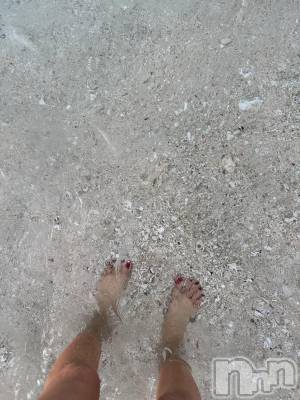 ��ˬ����Х��顦����֥���� �ץ���� ��ˬ(����� �ץ���� ����) �ĳ� �ޤ�(26)��12��26���̥�֥�����🌊��